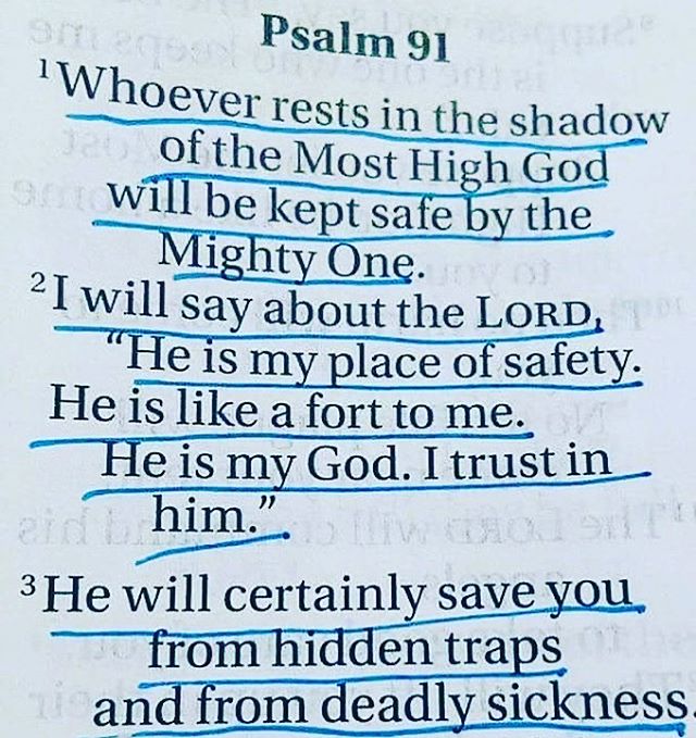 He is my God. I trust in Him