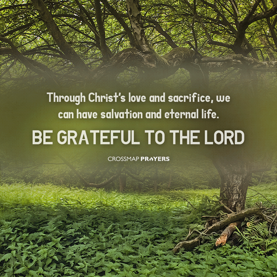 Be Grateful To The Lord