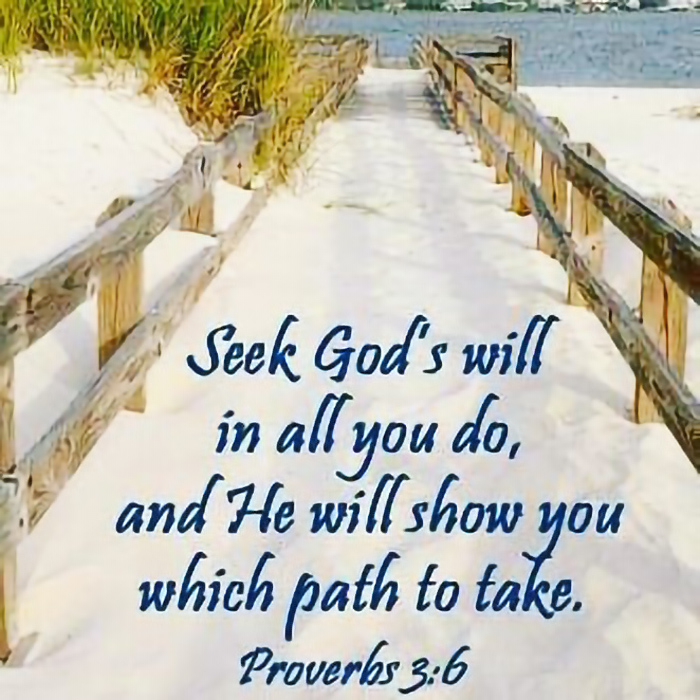 Seek God's Will
