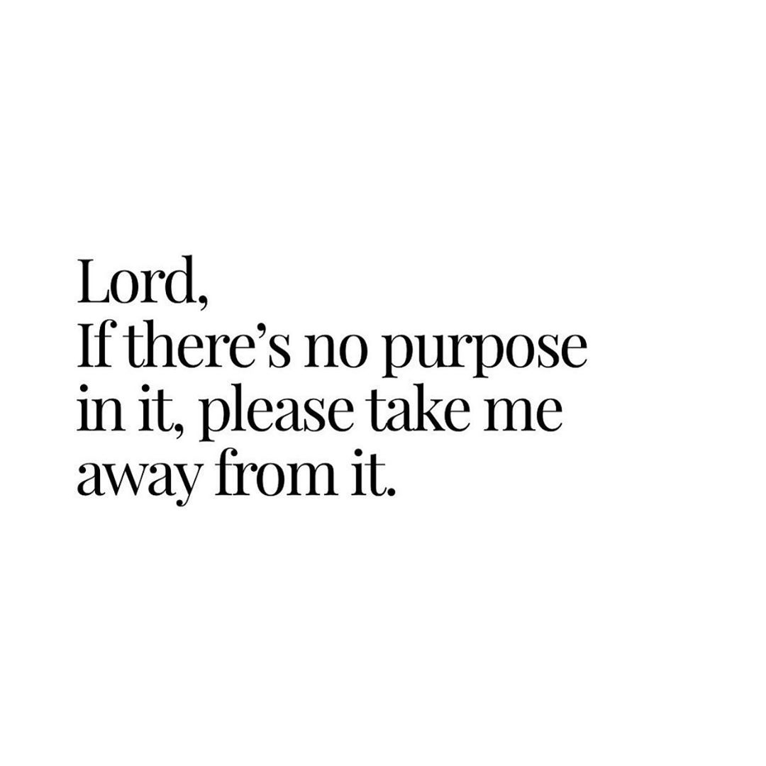 A Purpose In It