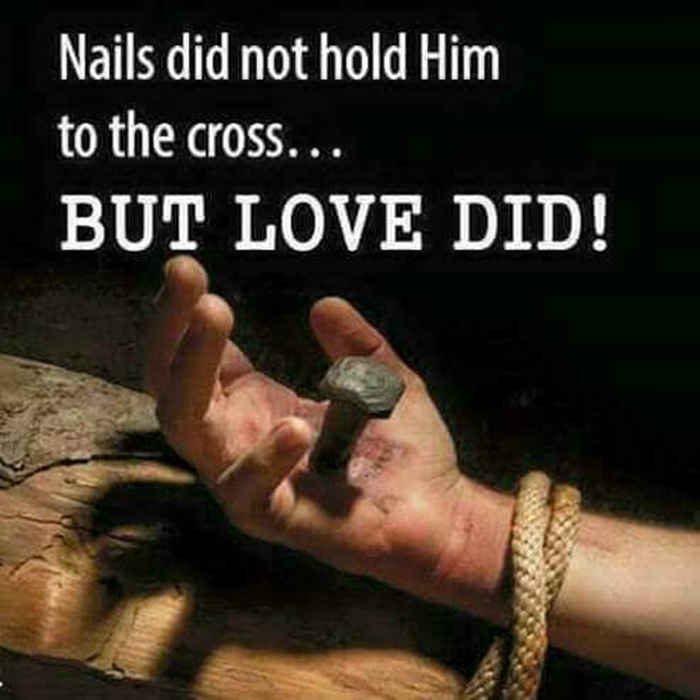 The Love of Cross